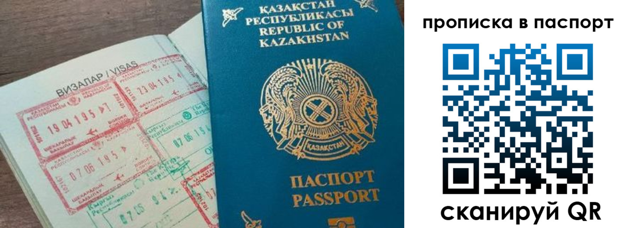 прописка поиск в Орехово-Зуево